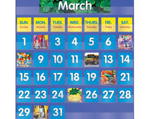 Collection image for: Pocket Charts & Accessories