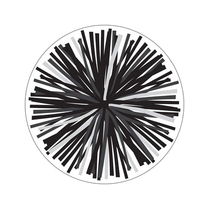 Simply Stylish Black & White Poms Accents