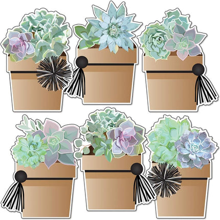 Simply Stylish Potted Succulent Accents