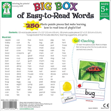 Big Box of Easy-to-Read Words