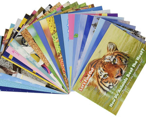 Collection image for: Book Sets