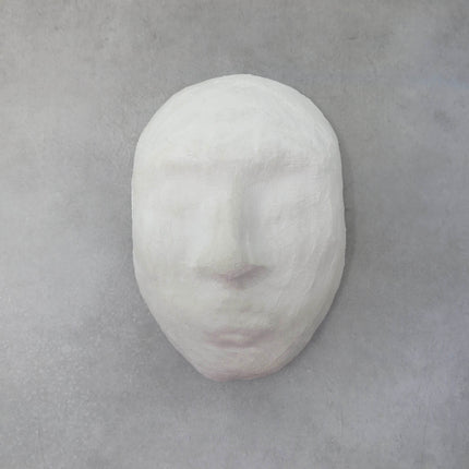 Rigid Wrap™ Plaster Cloth