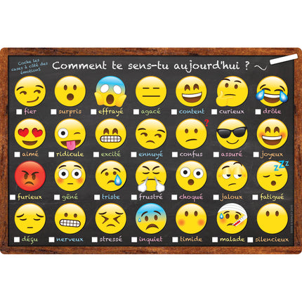 Smart Poly™ French Immersion Chart, 13" x 19", Emotions Icon, Comment te sens-tu aujourd'hui ? (How Are You Feeling Today?)