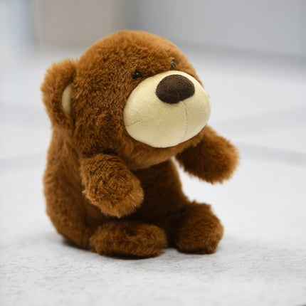 Bear Posture Pal