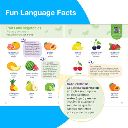 Rosetta Stone Ingles Diccionario Visual
