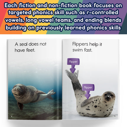 Spotlight Read Phonics Readers Set C