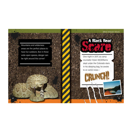 Mountains and Wilderness, Grades 4 - 9