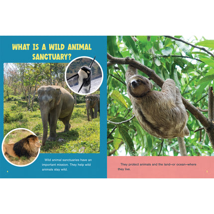 Wild Animal Sanctuaries