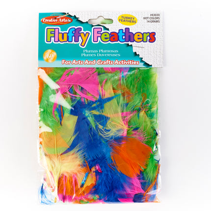 Turkey Feathers, Hot Colors