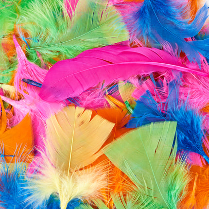 Turkey Feathers, Hot Colors