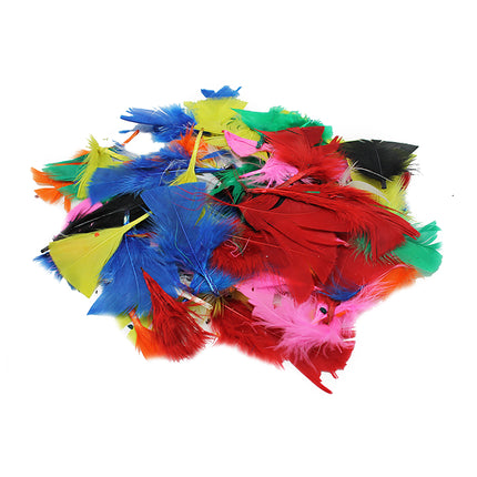 Turkey Feathers, Bright Colors