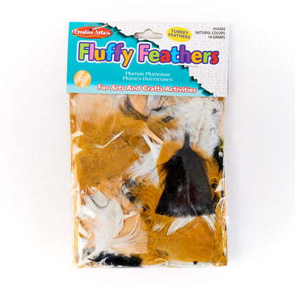 Turkey Feathers, Natural Colors