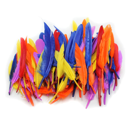 Duck Quills Feathers
