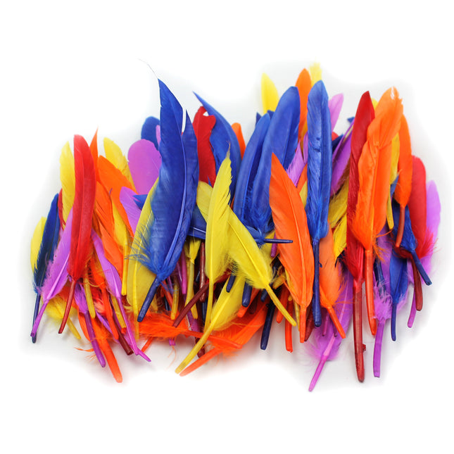 Duck Quills Feathers