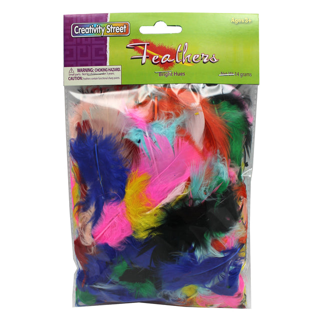 Turkey Plumage Feathers, Assorted Bright Hues, Assorted Sizes