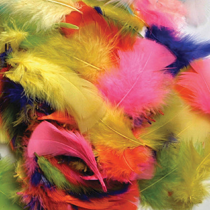 Turkey Plumage Feathers, Assorted Bright Hues, Assorted Sizes