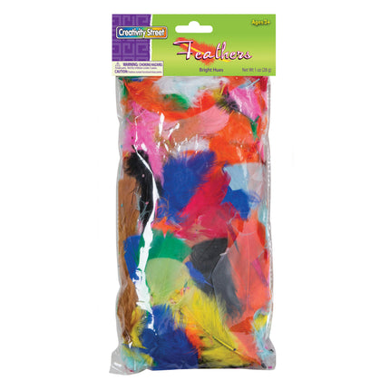 Turkey Plumage Feathers, Bright Hues Assorted