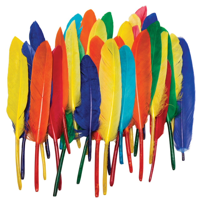 Duck Quills, Assorted Colors