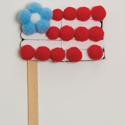 Pom Pons, Color Splash, 100 Pieces