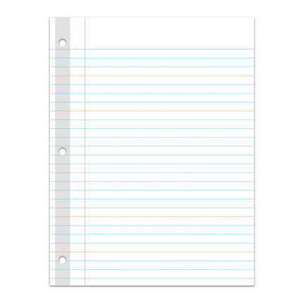 Filler Paper Reinforced 3hole Punch 100ct Wide Ruled