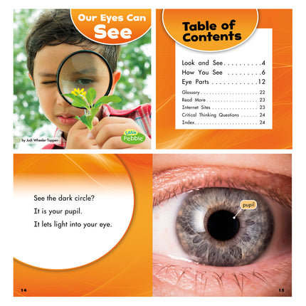 Our Amazing Senses, Set of 5 books