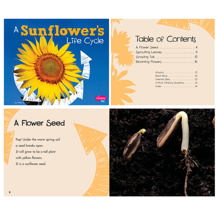 Explore Life Cycles, Set of 6 books