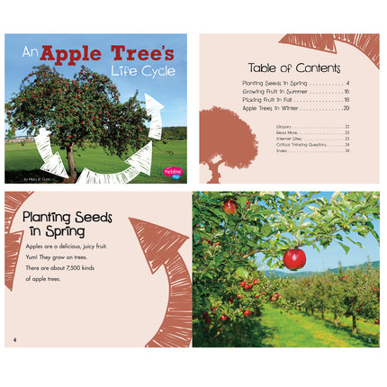 Explore Life Cycles, Set of 6 books