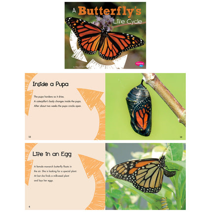 Explore Life Cycles, Set of 6 books
