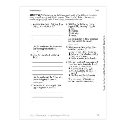 Reading Detective® Book, A1, Grade 5-6