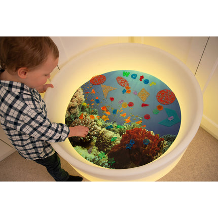 Under the Sea Discovery Play Mat