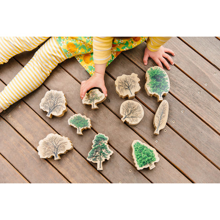 Seasons Wooden Trees