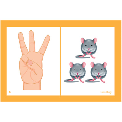 Same but Different Cards, Grades K-2