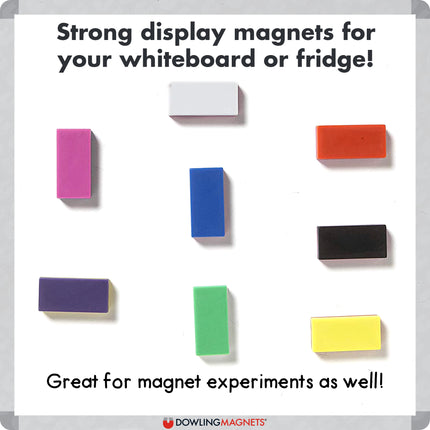 Hero Magnets™ Block Magnets, Display Box of 40