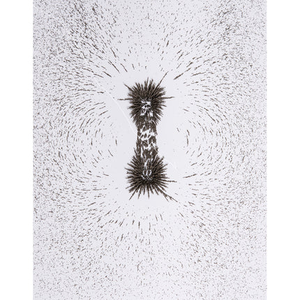 Iron Filings, 12 oz.