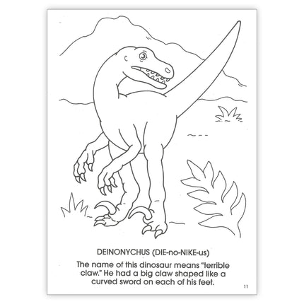 Dinosaurs Coloring Book