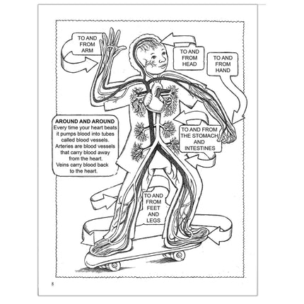 My First Human Body Coloring Book