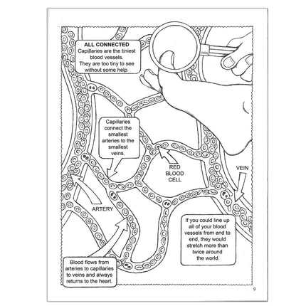 My First Human Body Coloring Book
