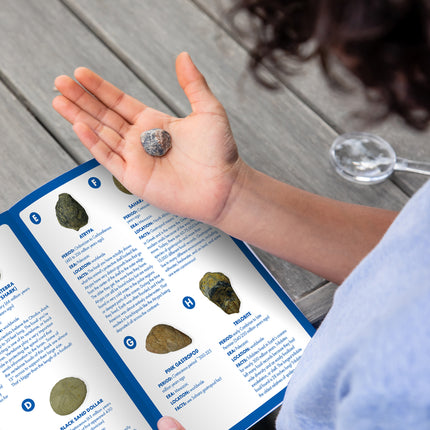 GeoSafari® Jr. Fossil Excavation Kit