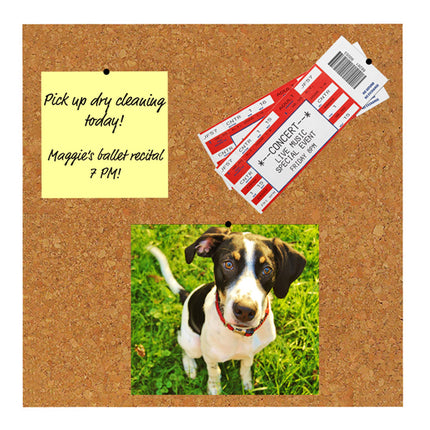 Cork Tiles, 12" x 12", Set of 4
