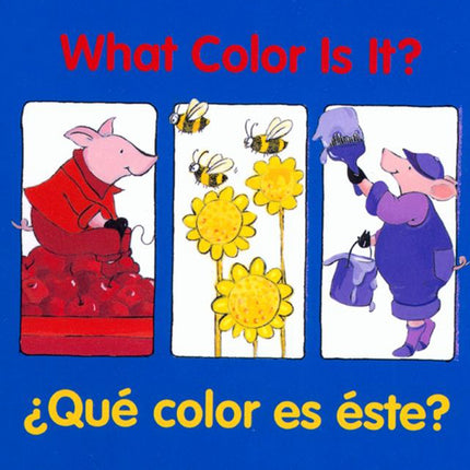 What Color Is It?, ¿qué Color Es Éste? Bilingual Board Book