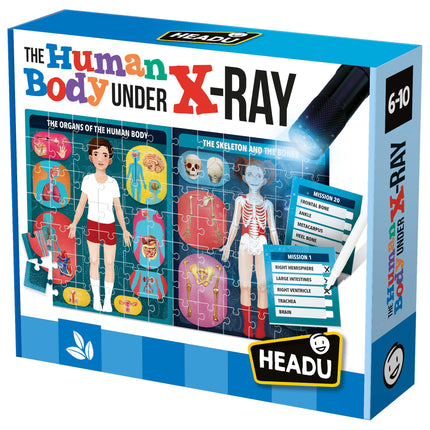 The Human Body Under X-Ray