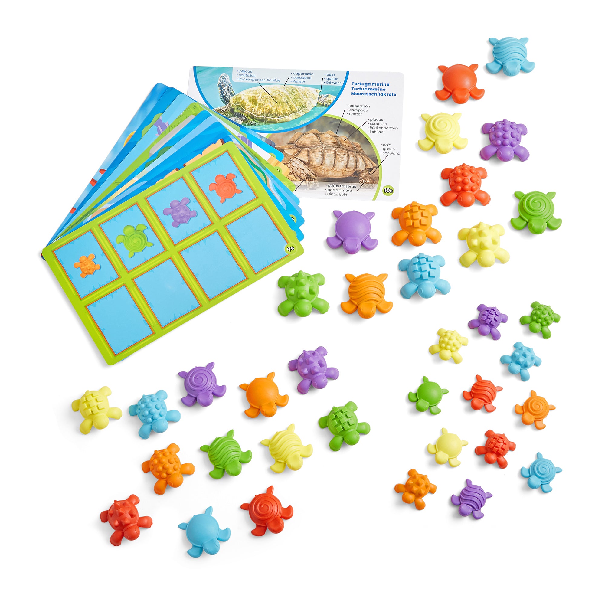 Turtle Math Puzzle Tactile Turtles Math Activity Set – ES School Supply