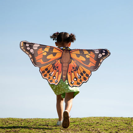 Painted Lady Butterfly Wings