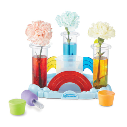 Preschool Science Lab Rainbow Reactions