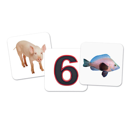Vowel Owls™ Sorting Set