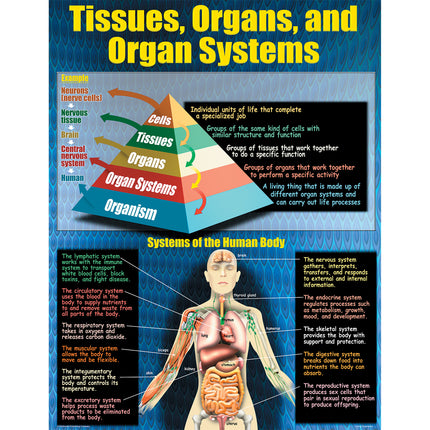 Living Organisms Posters, Set of 4