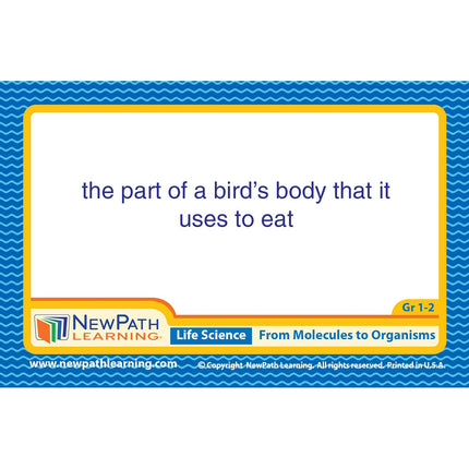 Science Vocabulary Builder Flash Card Set, Grades 1-2