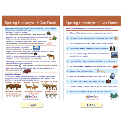 Spelling Rules Bulletin Board Chart Set