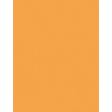 Multi-Purpose Paper, Hyper Orange