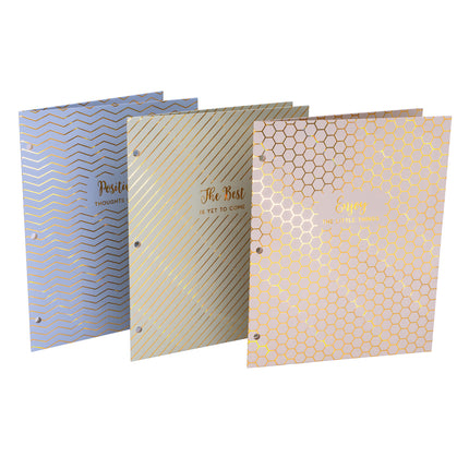 Haze 2-pocket Portfolio Letter 6pk